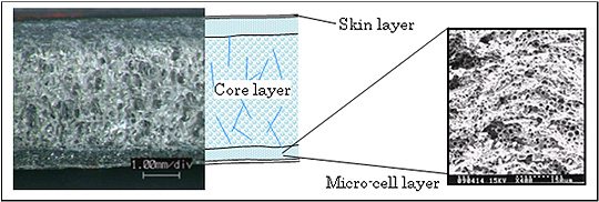 Multi-layer structure of newly developed foamed resin